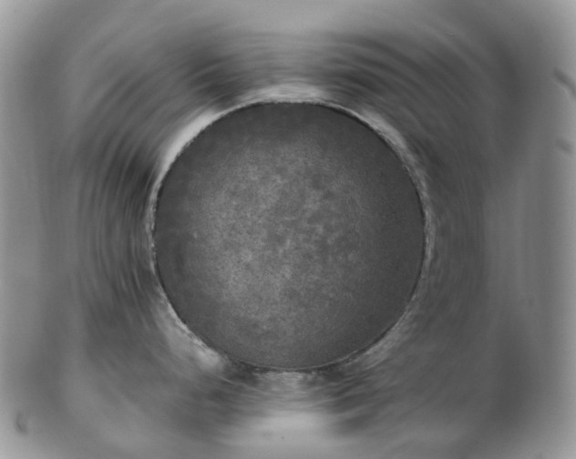 X0000102841248200808251149