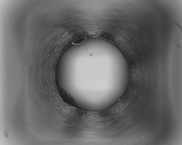 X0000102841249200808251148