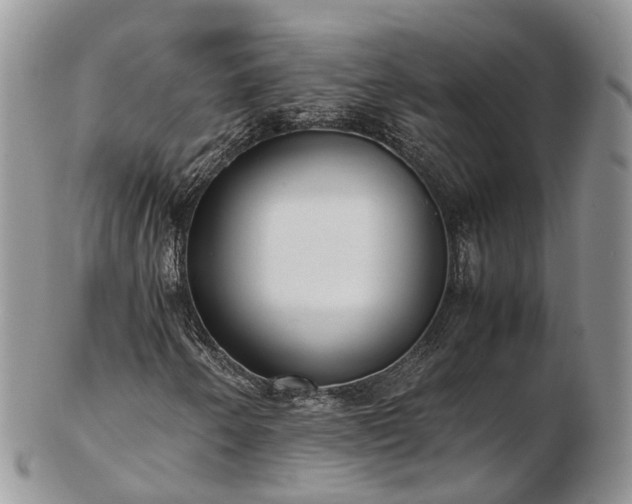 X0000102841250200808251148