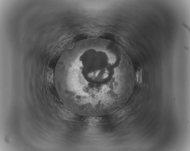 X0000102841251200808251148