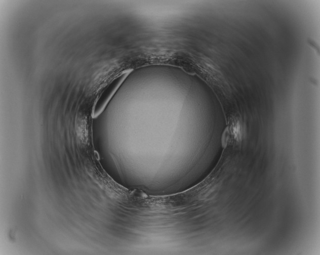 X0000102841252200808251148