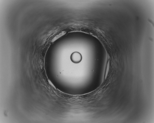 X0000102841253200808251148