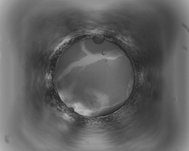 X0000102841254200808251148