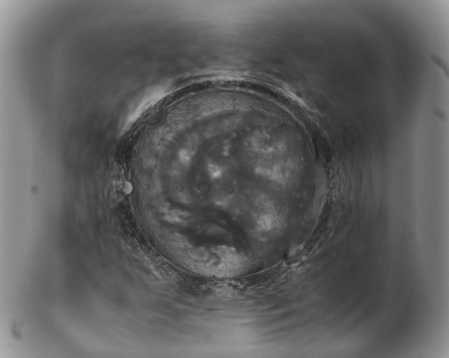 X0000102841255200808251148