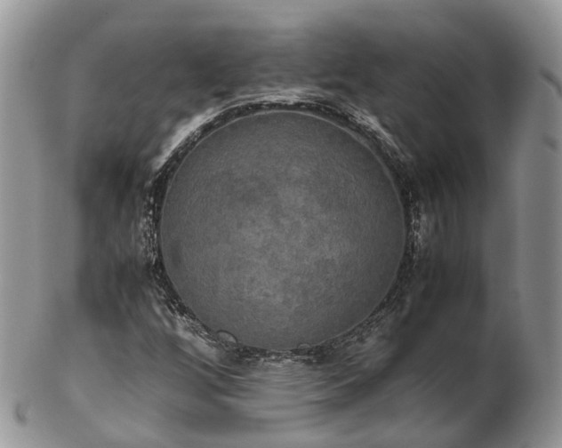 X0000102841256200808251148