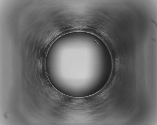 X0000102841257200808251148