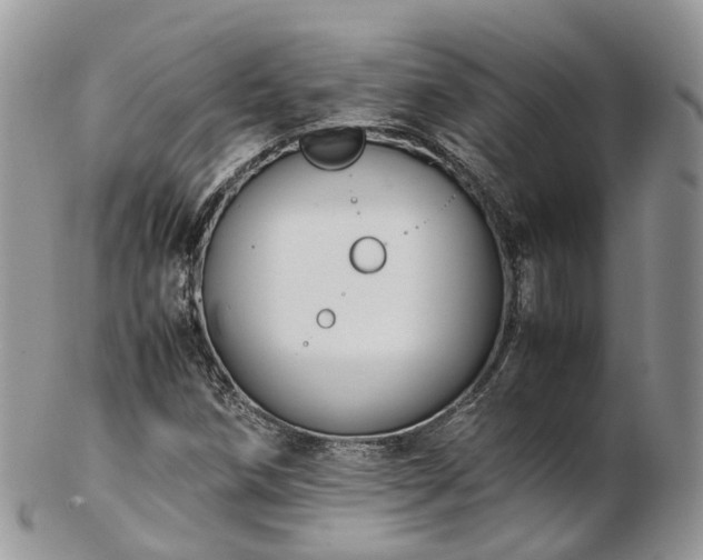 X0000102841258200808251148