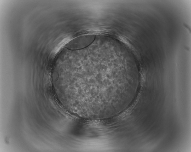 X0000102841259200808251148