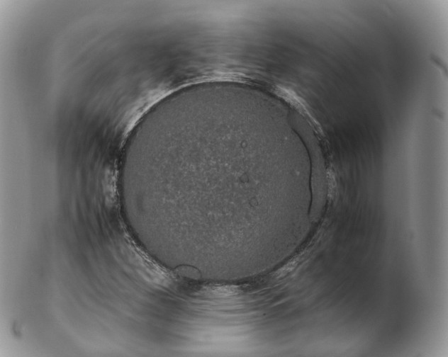 X0000102841260200808251148