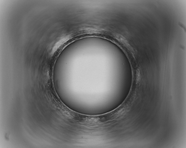 X0000102841261200808251148