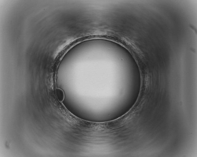 X0000102841262200808251148