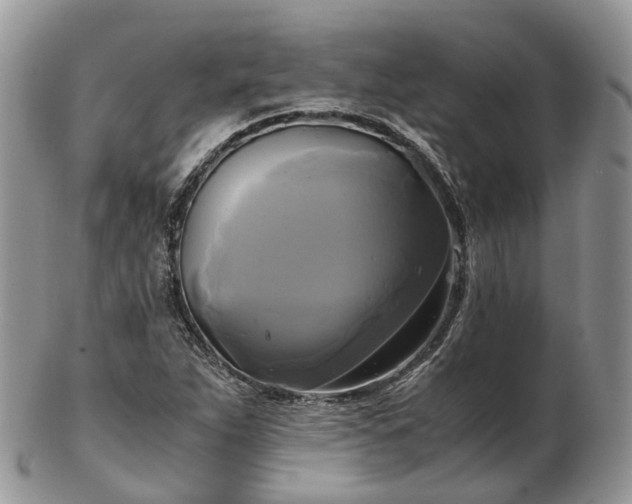 X0000102841263200808251148