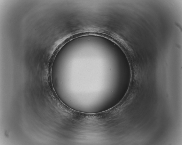 X0000102841264200808251148