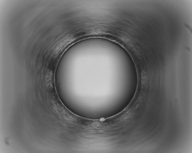 X0000102841265200808251148