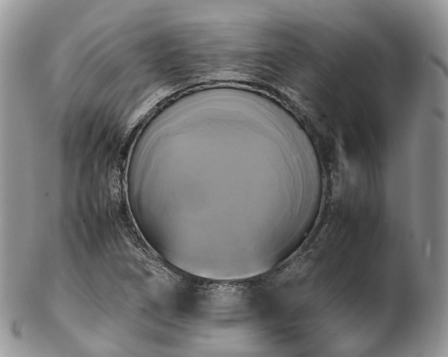 X0000102841266200808251148