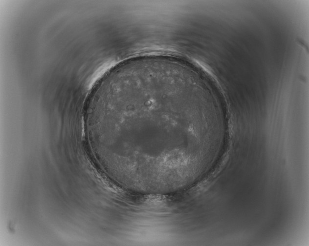 X0000102841267200808251148