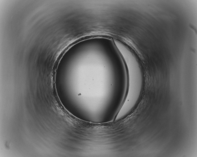 X0000102841268200808251148