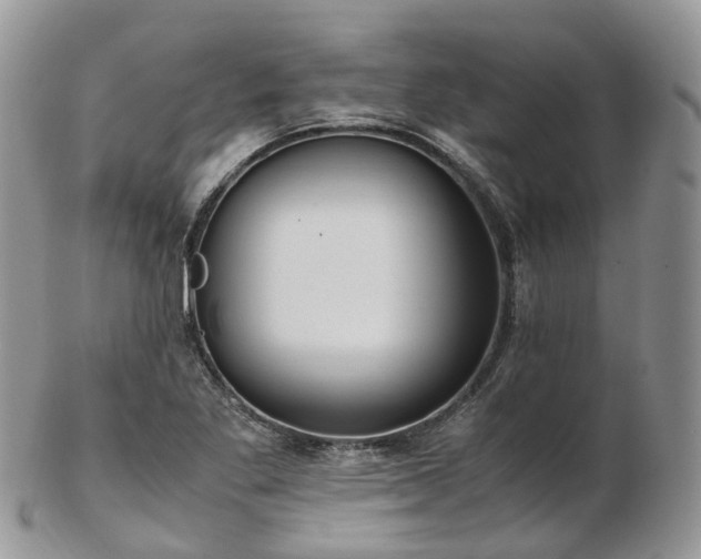 X0000102841269200808251148