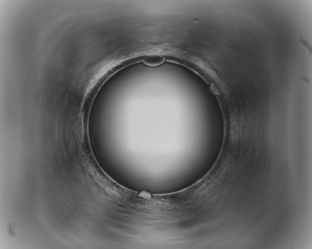 X0000102841270200808251148