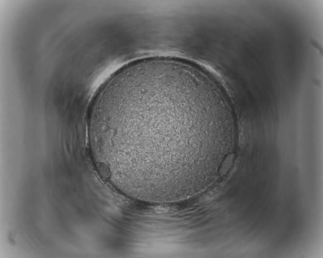 X0000102841271200808251148