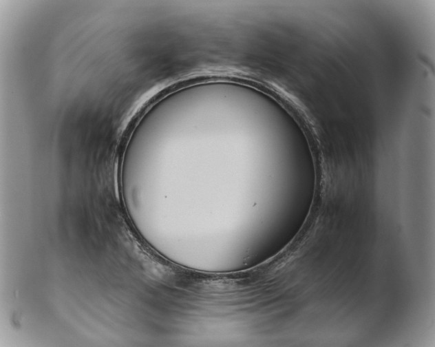 X0000102841272200808251148