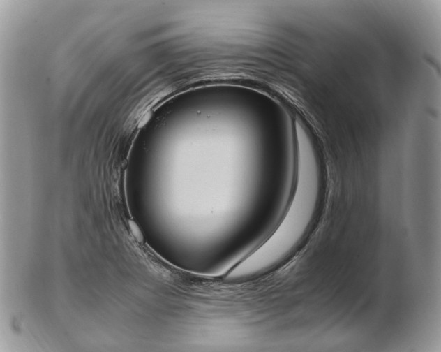 X0000102841273200808251148