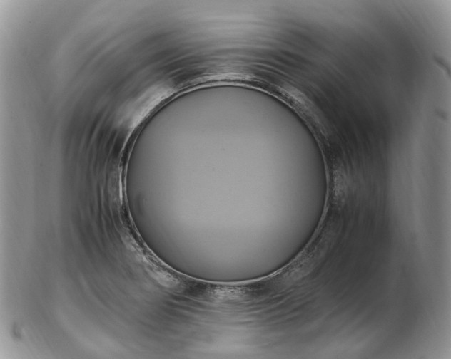 X0000102841274200808251148