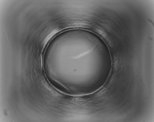 X0000102841275200808251148