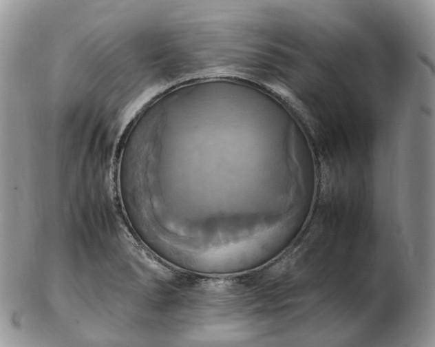 X0000102841278200808251148