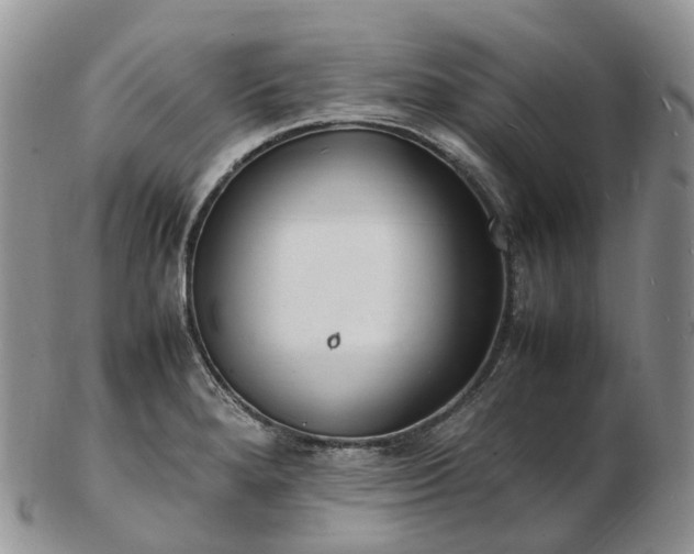 X0000102841280200808251148