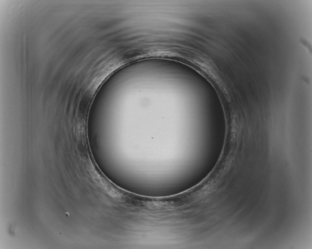 X0000102841281200808251148