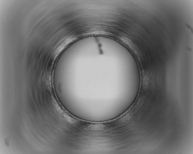 X0000102841282200808251148