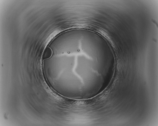 X0000102841283200808251148