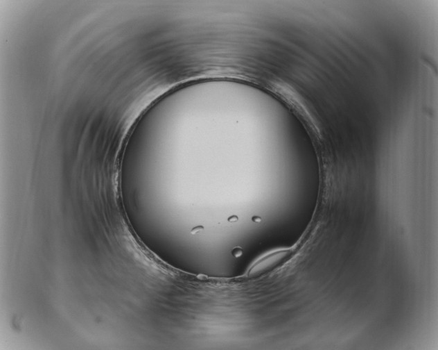 X0000102841284200808251148