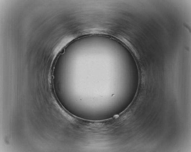 X0000102841285200808251148