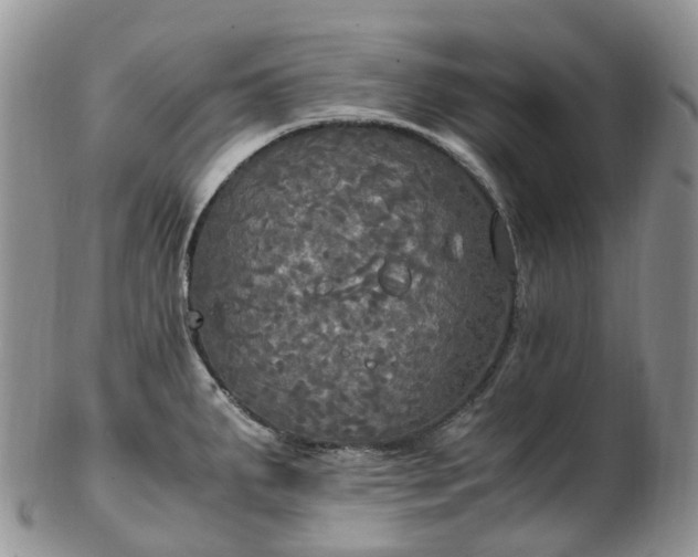 X0000102841287200808251148