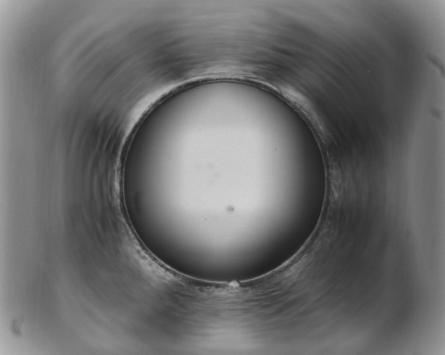 X0000102841288200808251147