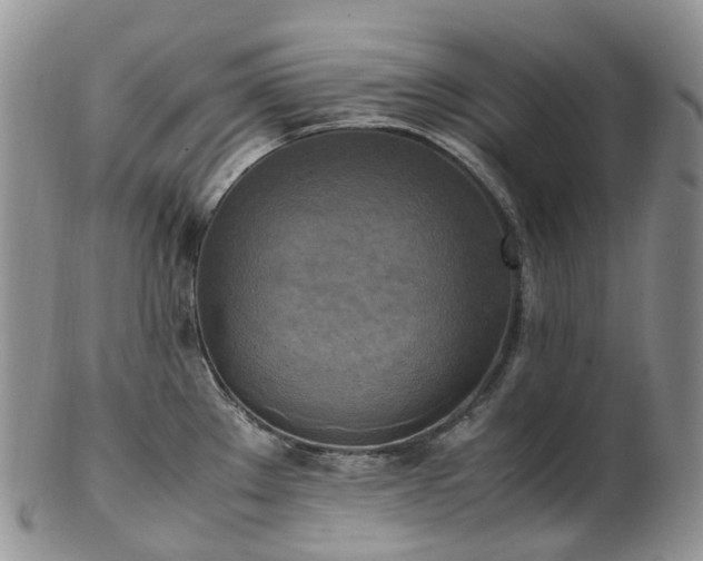 X0000102841289200808251147