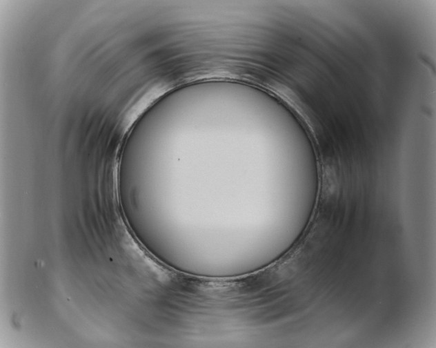 X0000102841290200808251147