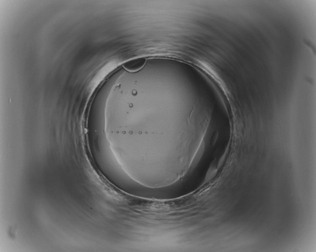 X0000102841291200808251147