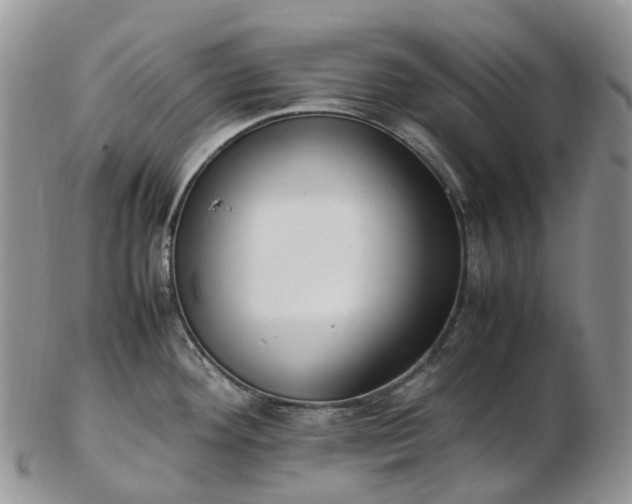 X0000102841292200808251147