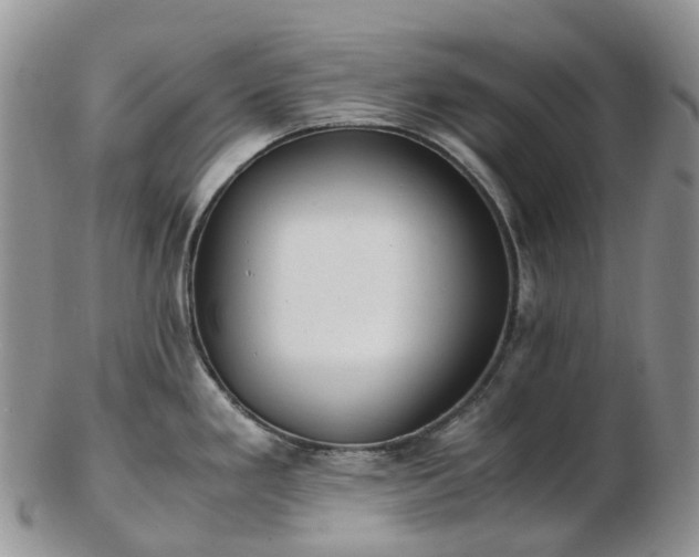 X0000102841293200808251147