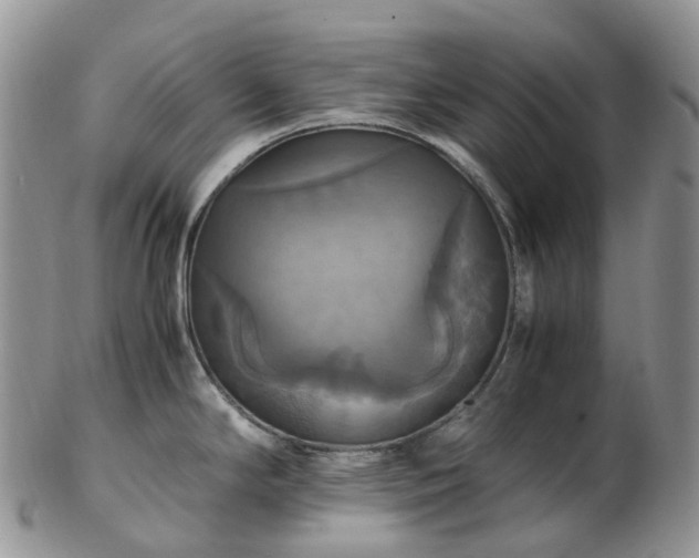 X0000102841294200808251147