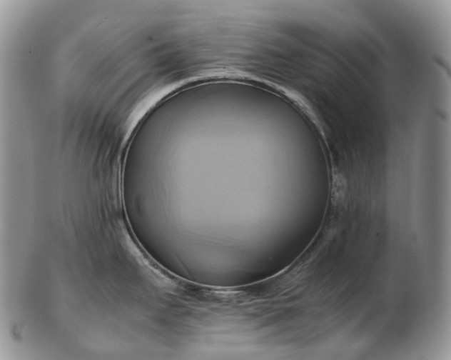 X0000102841295200808251147