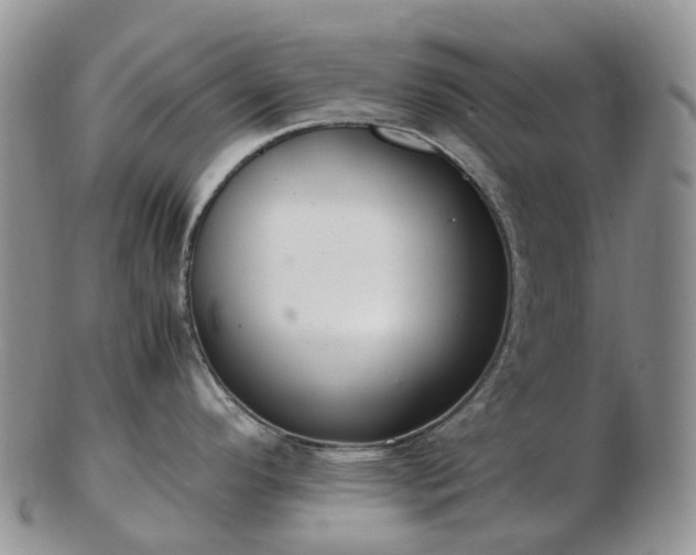 X0000102841296200808251147