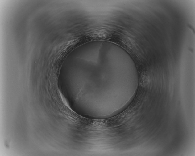 X0000102841297200808251147