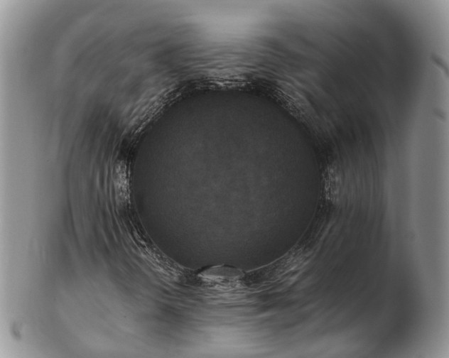 X0000102841298200808251147