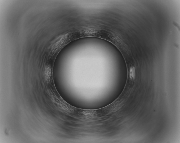 X0000102841299200808251147