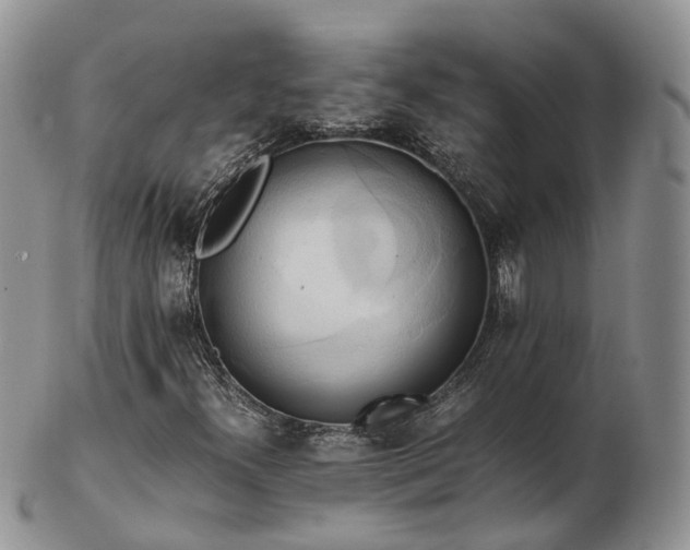 X0000102841300200808251147