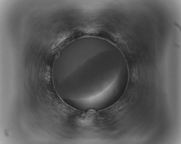 X0000102841301200808251147